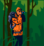 Image of Man In Forest Examining