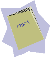 Image of Report Document